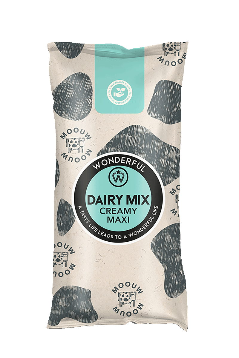 PPP-Diary-Mix-Creamy-Maxi-Pillow-Bag--Mockup-(1)